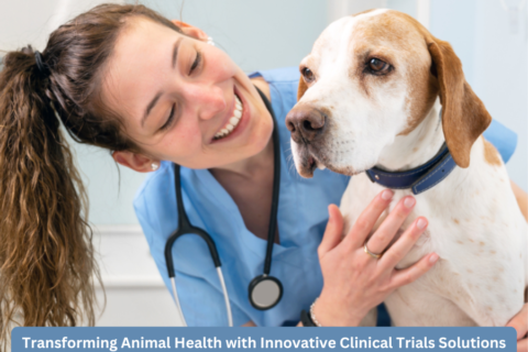 This article delves into how modern clinical trials solutions for animal health and paving the way for future breakthroughs.