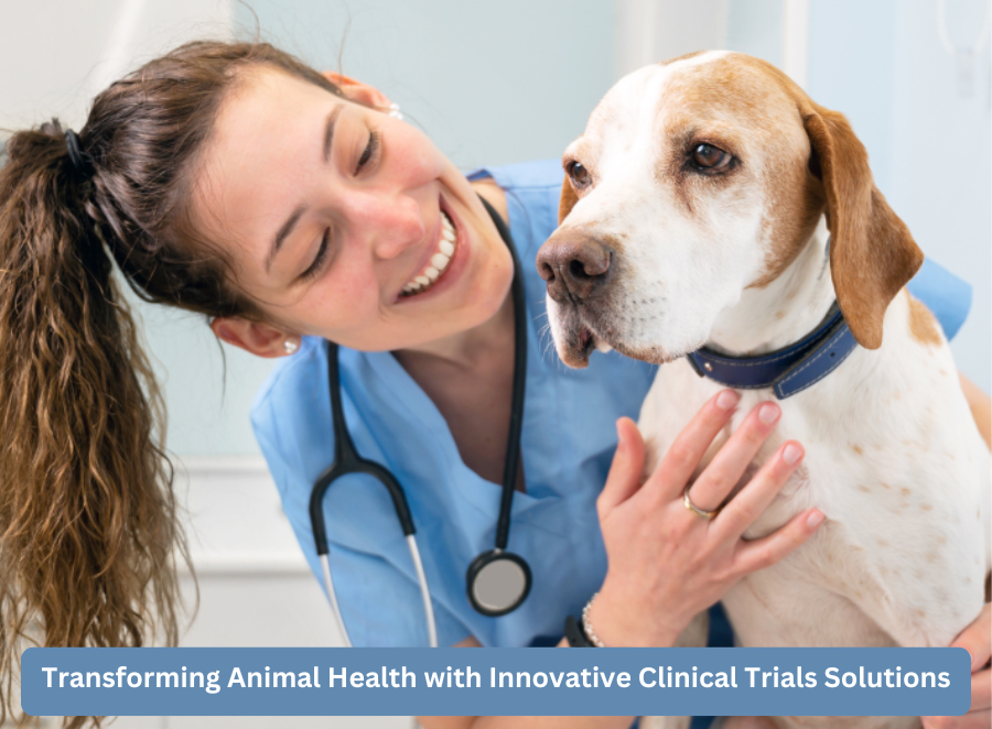 This article delves into how modern clinical trials solutions for animal health and paving the way for future breakthroughs.